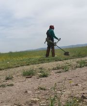 195098439-1-4PAluZ17Qc1782194386827.jpeg