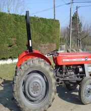Figarol Agridep EURL image 4