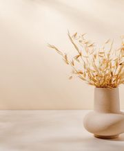 Irene Villalón imagen 6