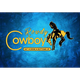 Rowdy Cowboy