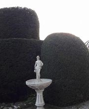 Gartenunterhalt & Pflege Karin Bühler, Skulpturenschnitt