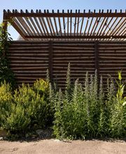 Artenreich Bolinger Gärten AG Bild 13