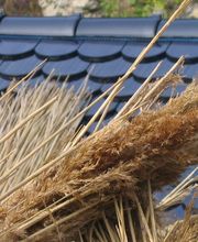 Scholl Dach GmbH Bild 2