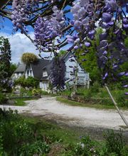 Le jardin de Saint Jean image 7