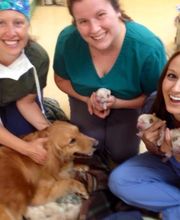Onion River Animal Hospital image 5