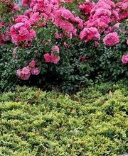 Festl & Kinshofer e.K. Bild 3