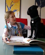 Primär - Die Nachhilfeschule Bild 1