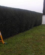 EURL Berteau image 18