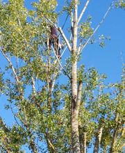 Sign'Nature Jardin image 15