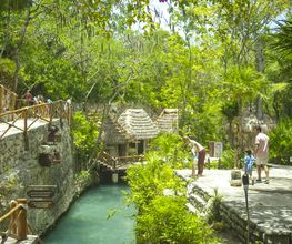 Occidental at Xcaret Destination - All Inclusive imagen 7