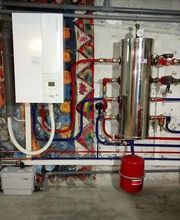 Leconte Franck image 4