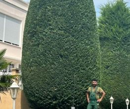 Royal Garden Bild 5