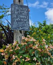 Midtown Garden Center image 20