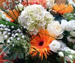 Flor Et Sens image 3
