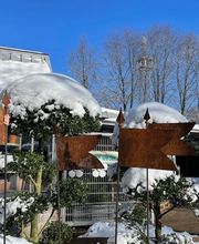 Blumen Kaiser Bild 11