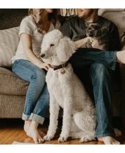 Rogers Group Property Management image 14