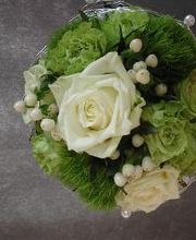 Blumenpanorama Hosch GmbH & Co. KG Bild 2