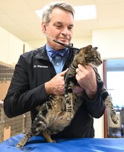 North Buffalo Animal Hospital image 2