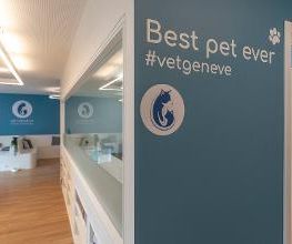 VetGenève - Clinique vétérinaire Bild 5