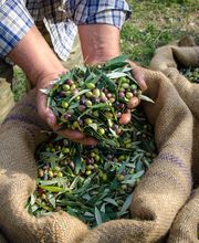 kulinartis gmbh Bild 3