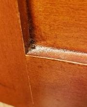 Windy City Bed Bug Specialists image 10