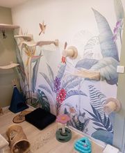 Hôtel Les Entrechats image 3