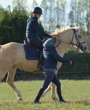 Ponte F SARL image 9