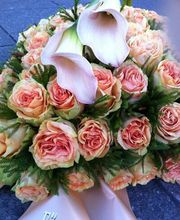 Blumen Hetzer Bild 3