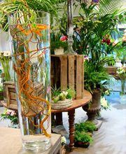 Savina Fleurs image 13