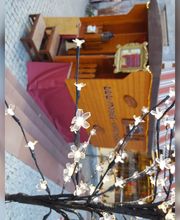 Sylvia Schlegelmilch Bild 11