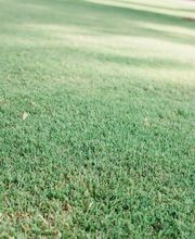 Nature's Turf image 20