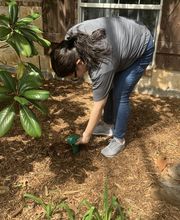 SafeHaven Pest Control image 4