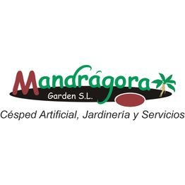 logo-mandragora.png