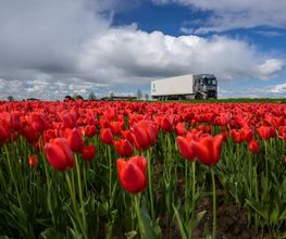 Trucks Vans Solutions SA Bild 10