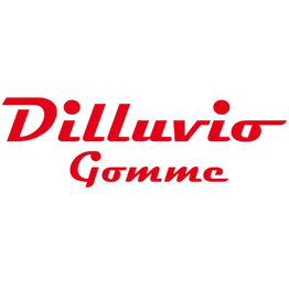 Dilluvio Gomme logo