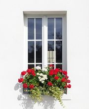 Cegisol Shuller image 5