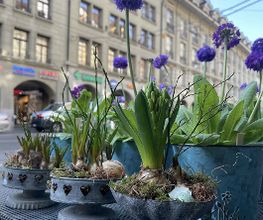 petite fleur gmbh Bild 7