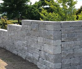 Schefer's Garten GmbH Bild 12
