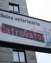 CATROGATOS imagen 10
