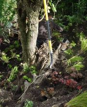 Einziggartig Gartenbau GmbH Bild 3