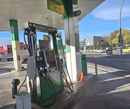 bp imagen 4