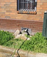 Roto-Rooter Plumbing & Water Cleanup image 1