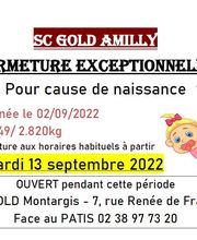 SC GOLD image 1
