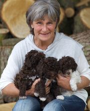 HUNDherum glücklich mit Antje Schnitzler Hundefutter-Vergleich24 | ANIfit Bild 1