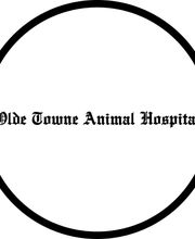 Olde Towne Animal Hospital image 8