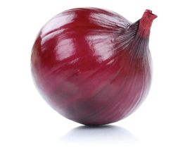 Saveurs Provençales image 10