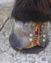 217334820-3-0iwp8ic9WT1602153137830.jpeg