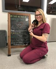 Crawfordsville Family Vet image 2