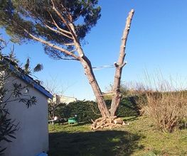 Arbor Elag image 7