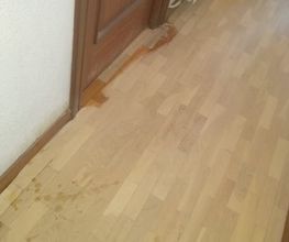 13890538-1-uh99reFUNc1554454998417.jpeg